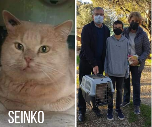 SEINKO adopté 20-11-21