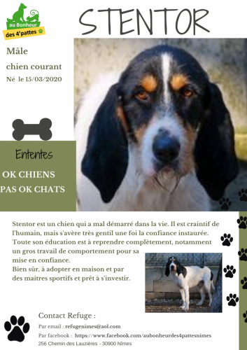 STENTOR