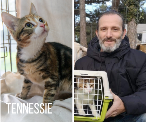 TENNESSIE-adoptee-12-12-22-1