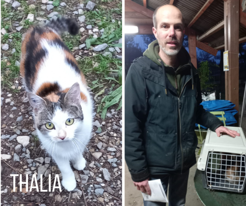 THALIA-adoptee-07-01-23-2