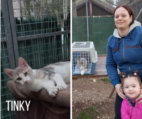 TINKY-adoptee-26-12-22-2