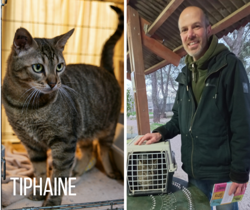 TIPHAINE-adoptee-14-01-23-2