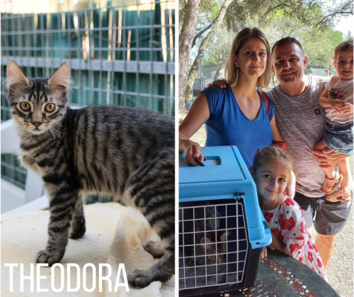 Theodora adoptée 03-09-22